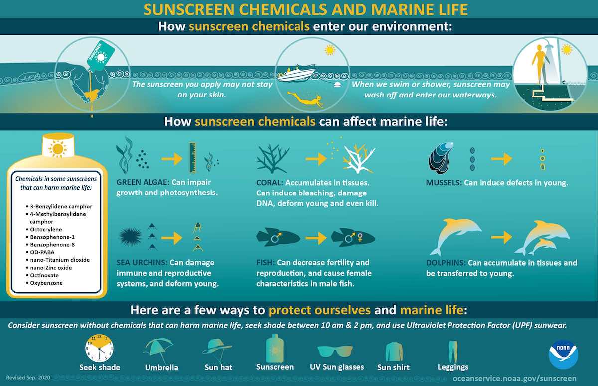 Sunscreen for Hawaii Reefsafe sunscreen buying guide for the USA